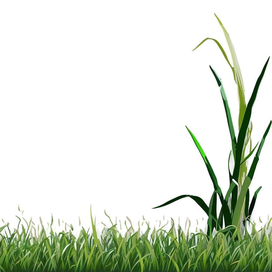 Grass Background Clipart Png 10 PNG