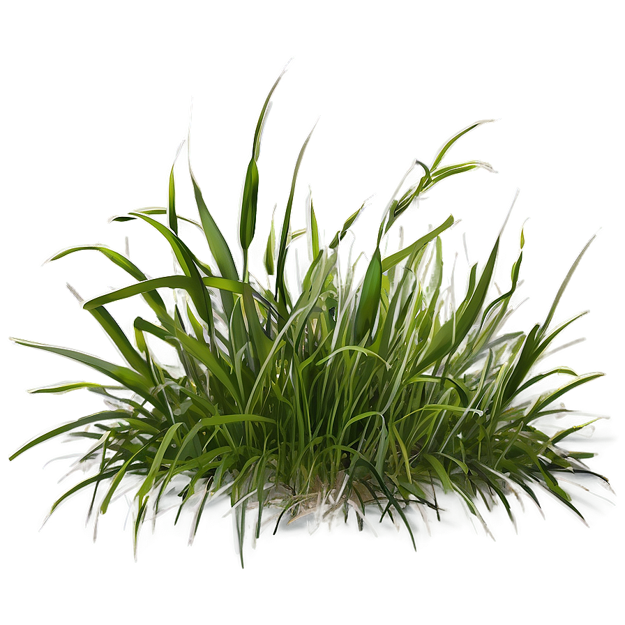 Grass Background Clipart Png Amm PNG