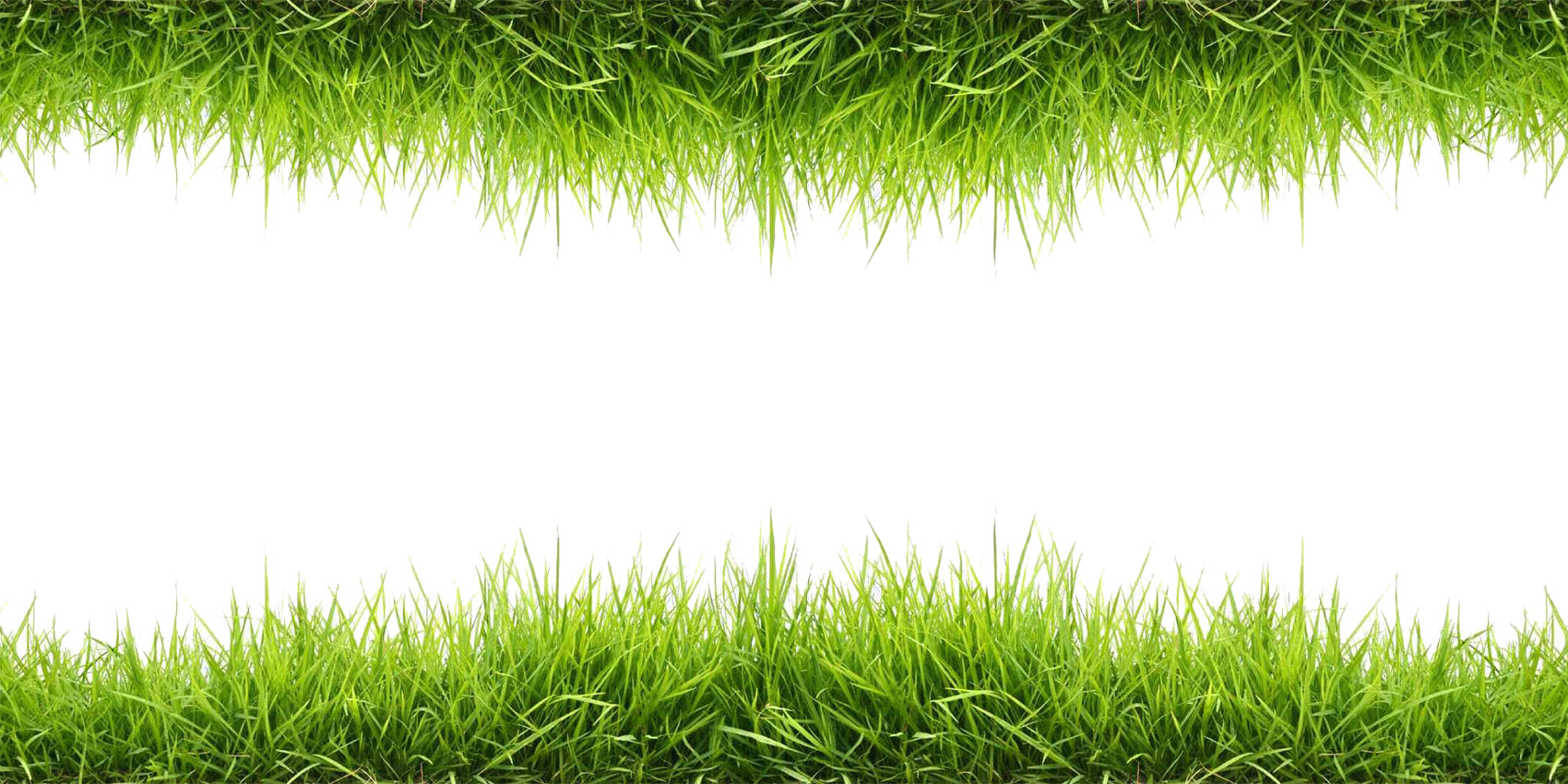 Grass_ Borders_on_ Gray_ Background.png PNG