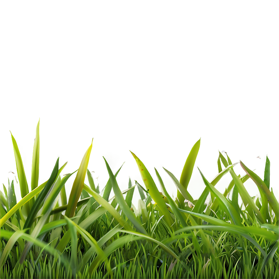 Grass C PNG