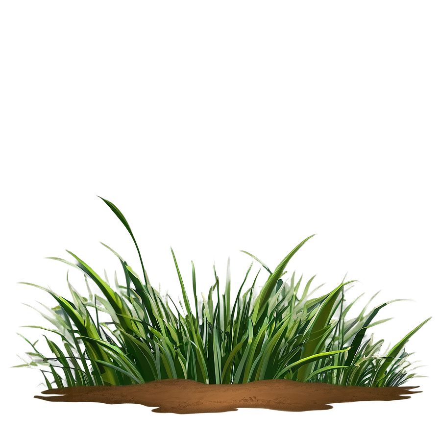 Grass Clipart Compilation Png 06272024 PNG