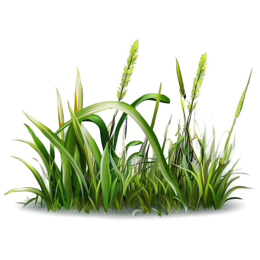 Grass Clipart Edition Png Tke PNG