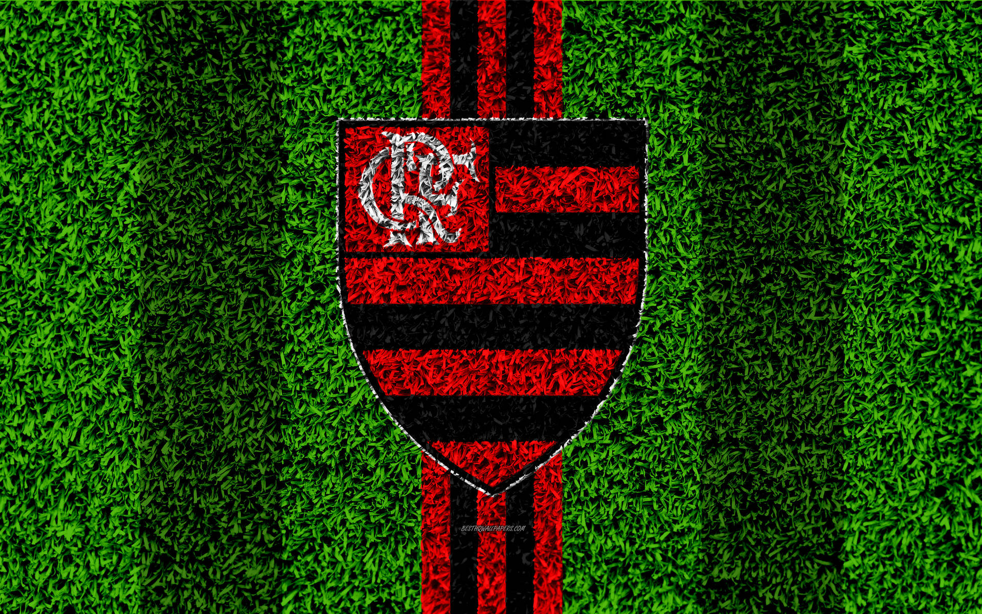 Grass Field Flamengo Fc