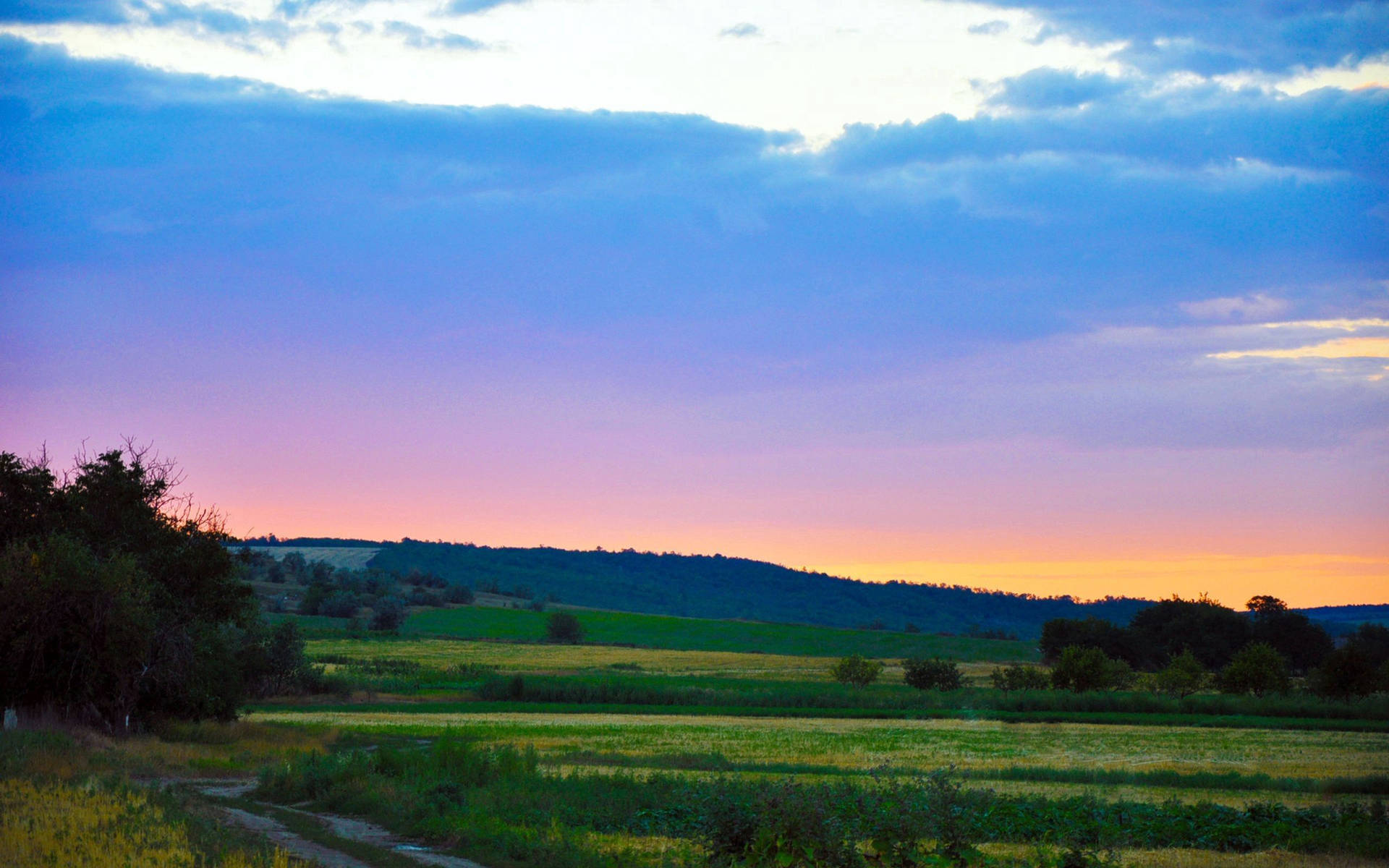 Enjoy the view of a stunning grass field and mountain sunset Wallpaper