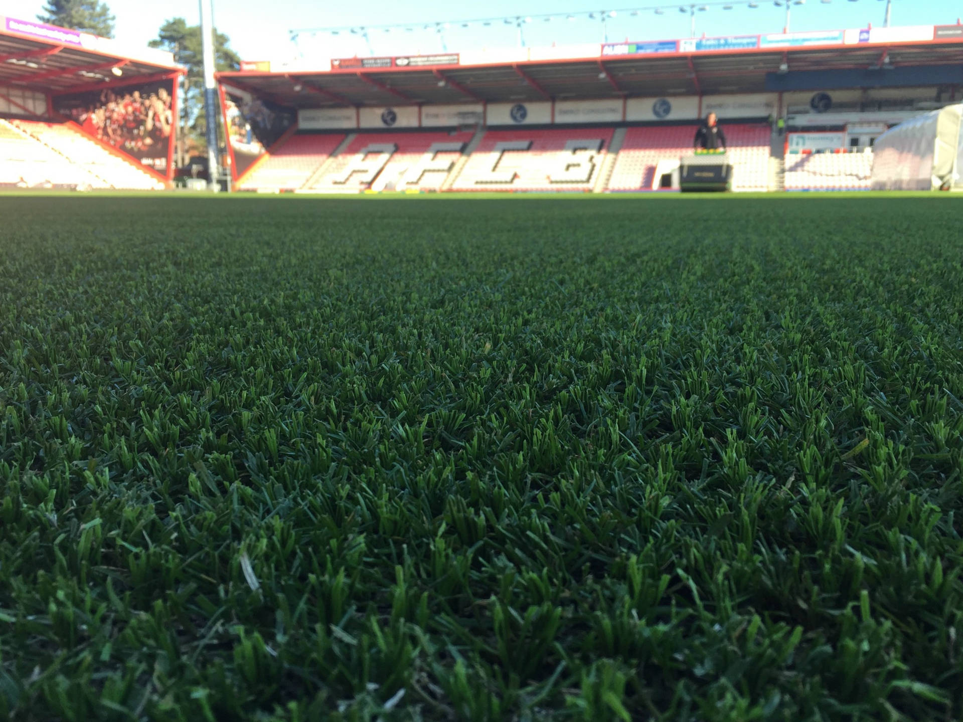 Grass Inside The AFC Bournemouth Stadium Wallpaper