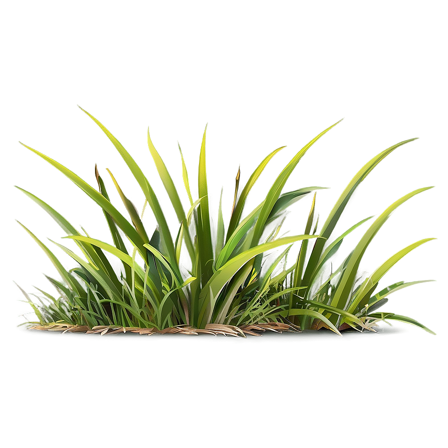 Grass Outline Clipart Png Dcs55 PNG