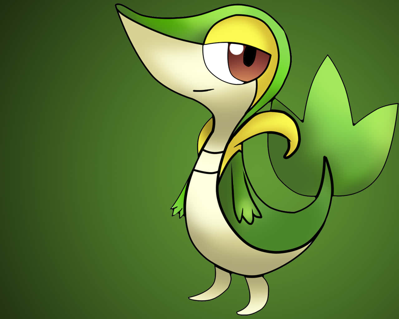 20 Snivy Pokemon HD Wallpapers and Backgrounds