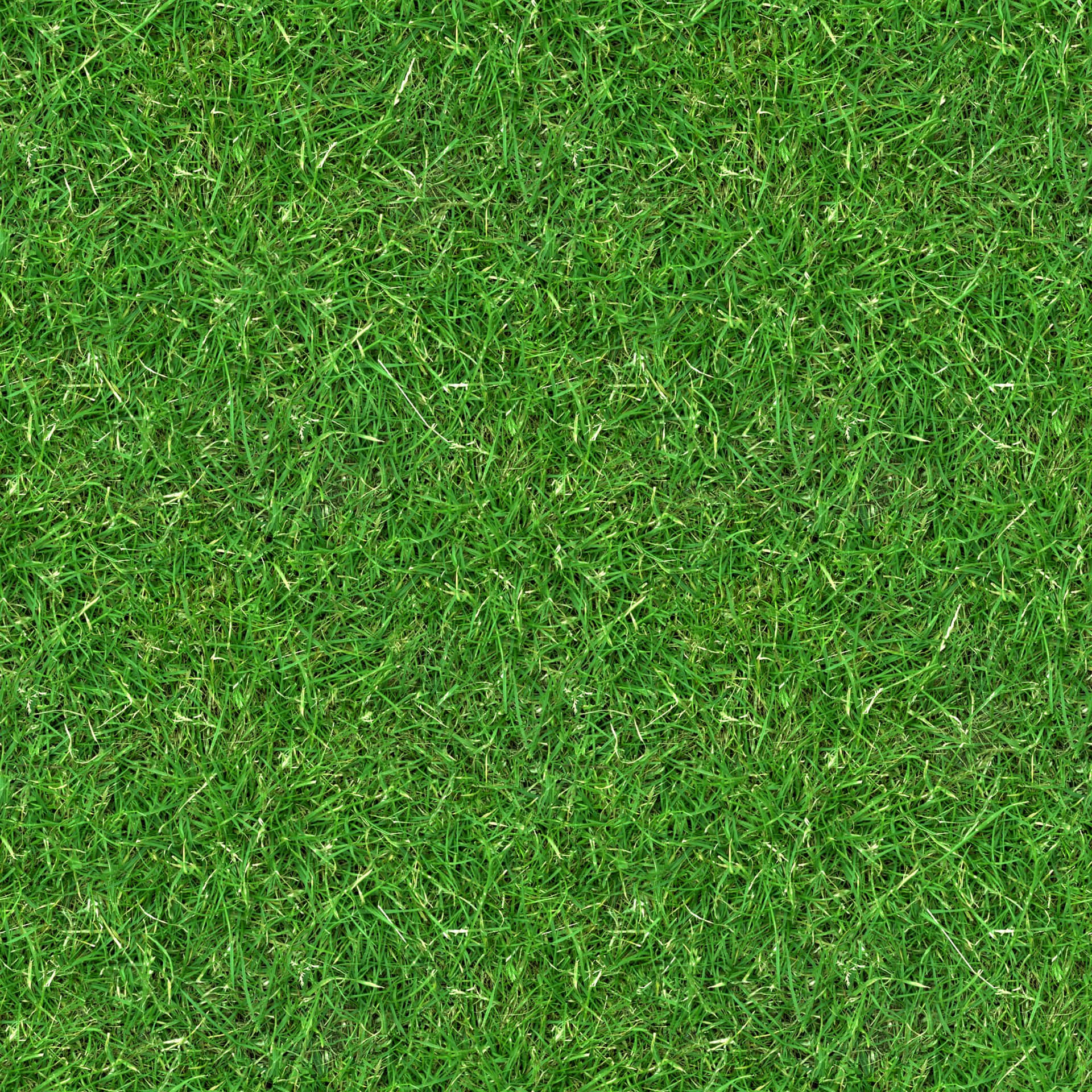 A Green Grass Background With A Lot Of Grass