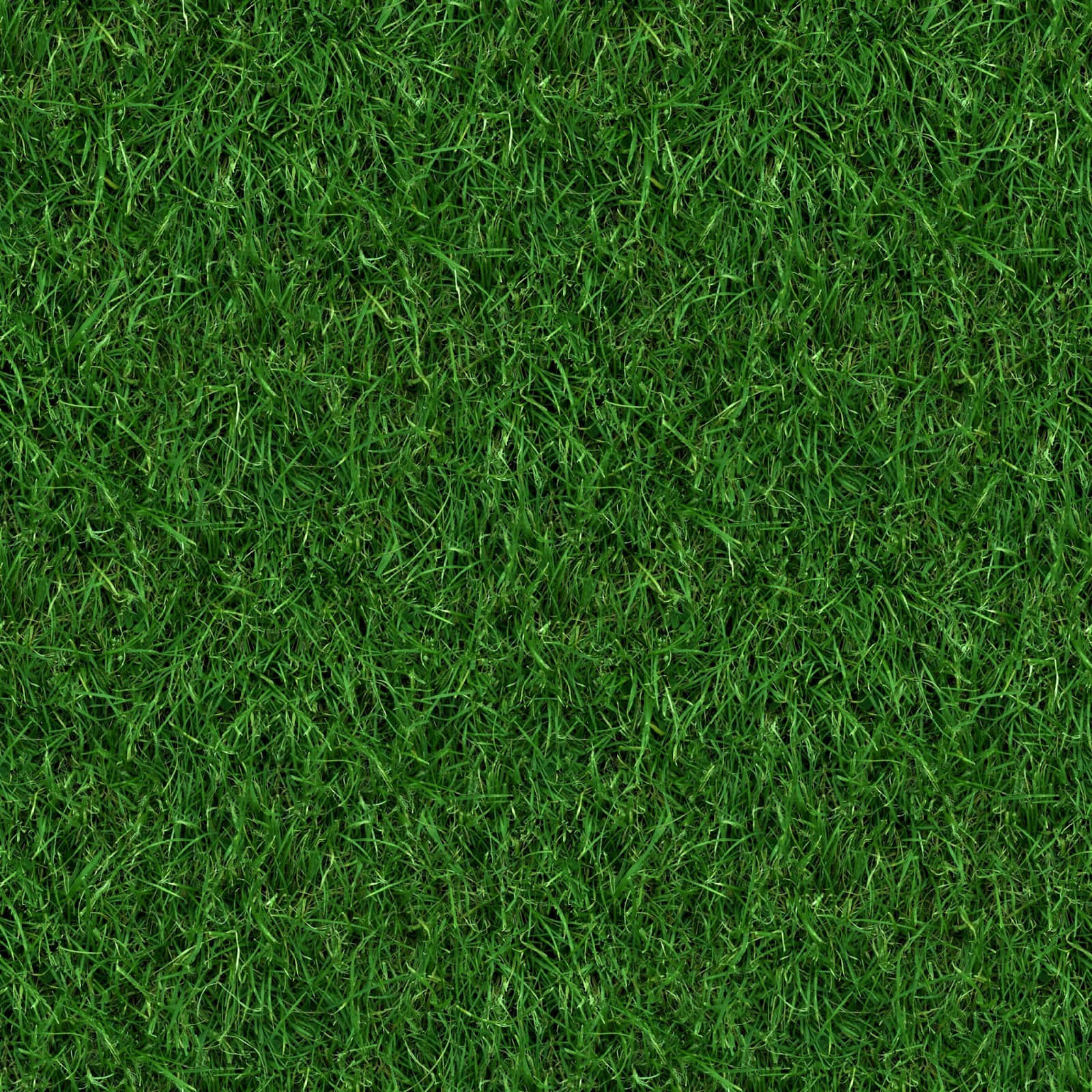 A Green Grass Background With A Grass Texture