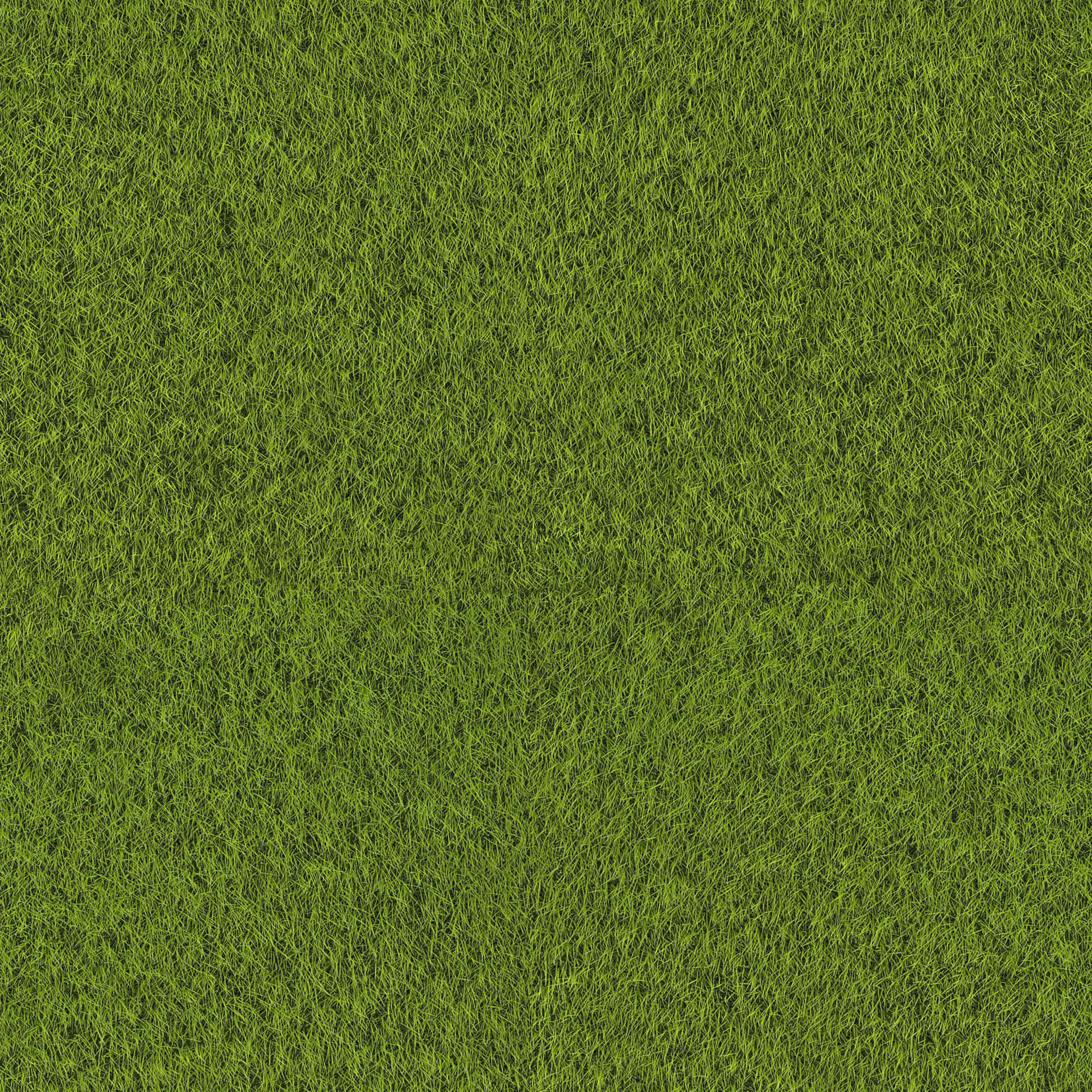 A close-up of a grass texture