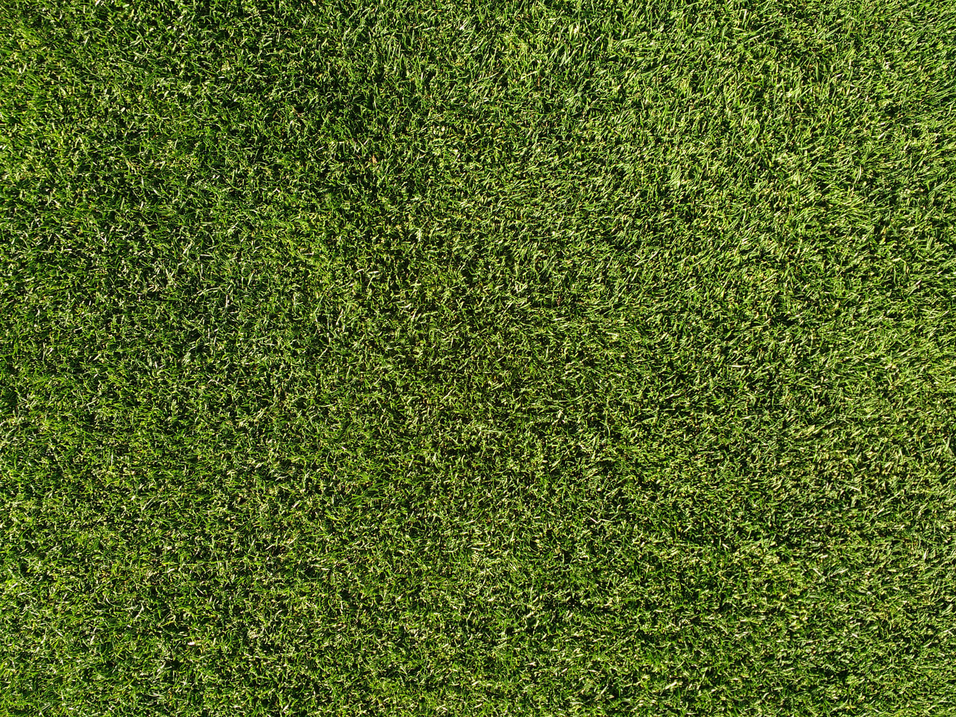 Grass Textures For Photoshop Wallpaper