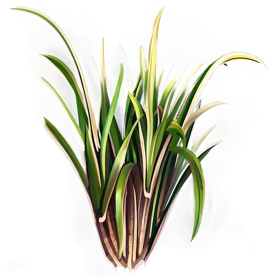 Grass Tuft Clipart Png Qfu PNG