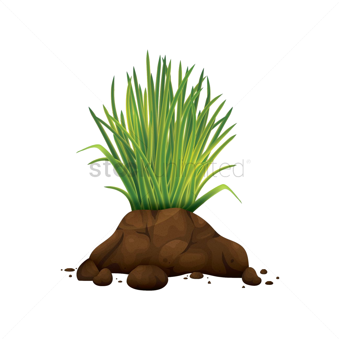 Download Grass Tufton Soil Mound | Wallpapers.com