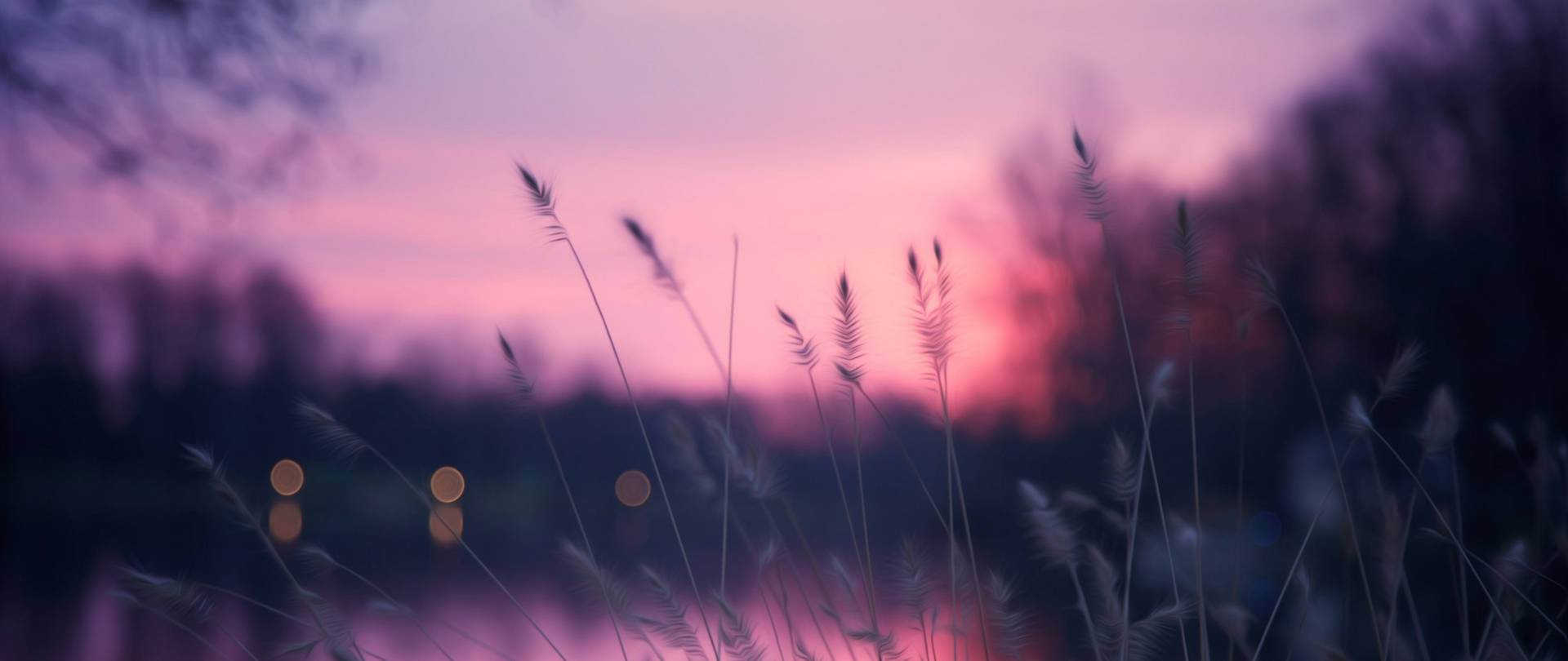 Download Grass Under Sunset Sky Pinterest Laptop Wallpaper 