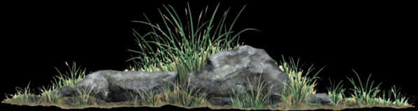 Grassand Rocks Isolatedon Black PNG
