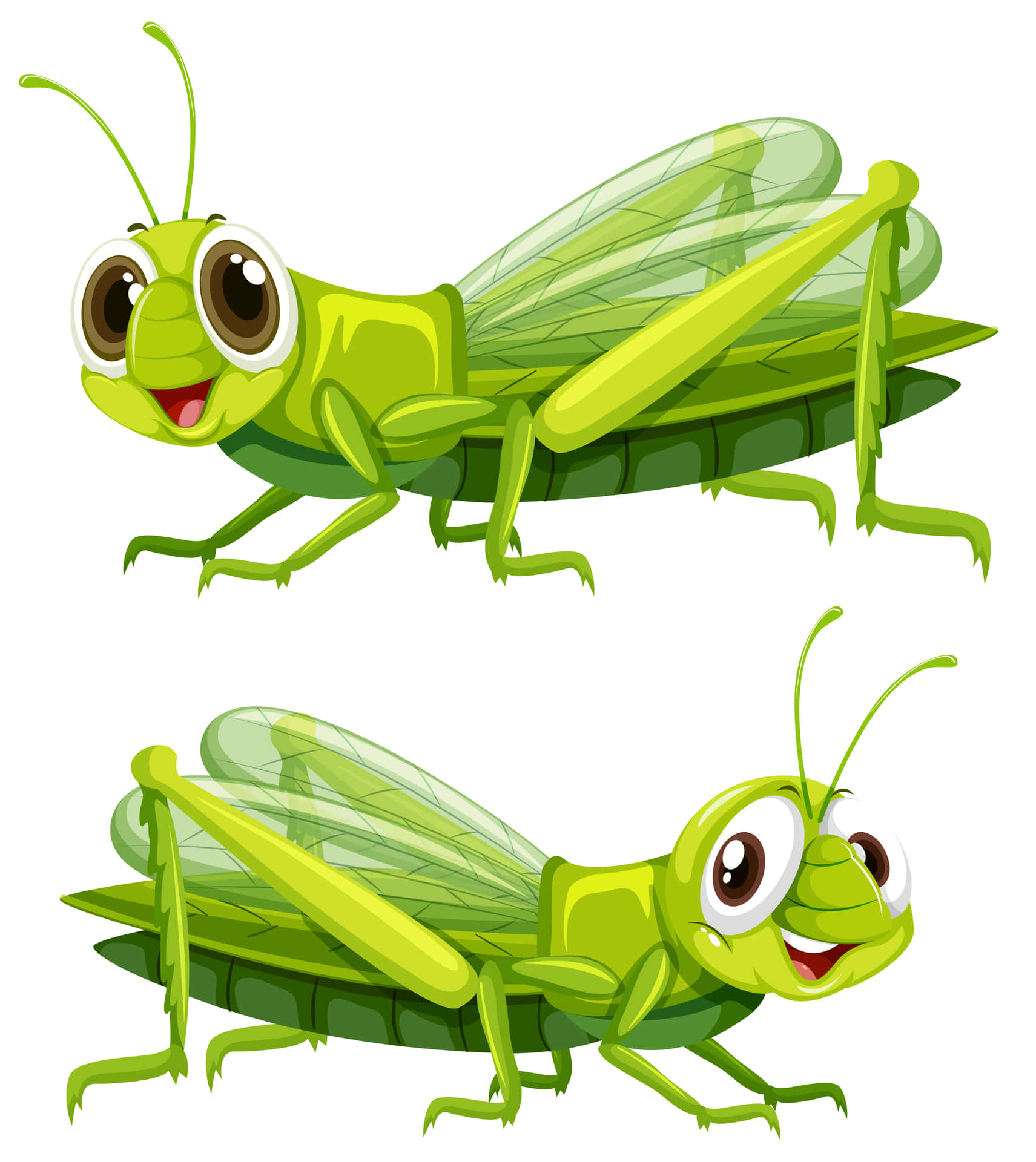 Captivating Close-Up of a Vibrant Green Grasshopper