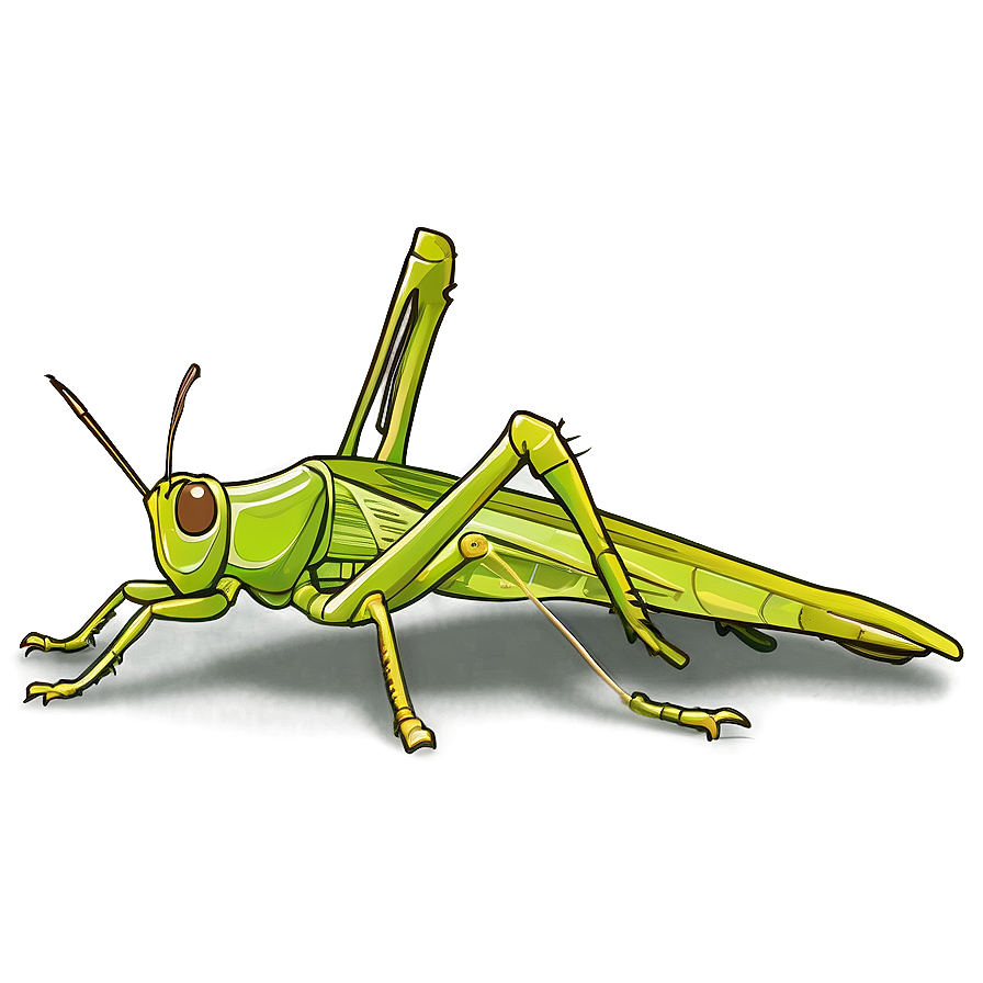 Grasshopper Sketch Png 37 PNG