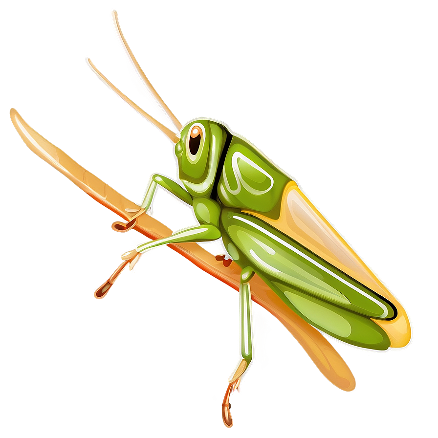Grasshopper With Transparent Wings Png Dej39 PNG