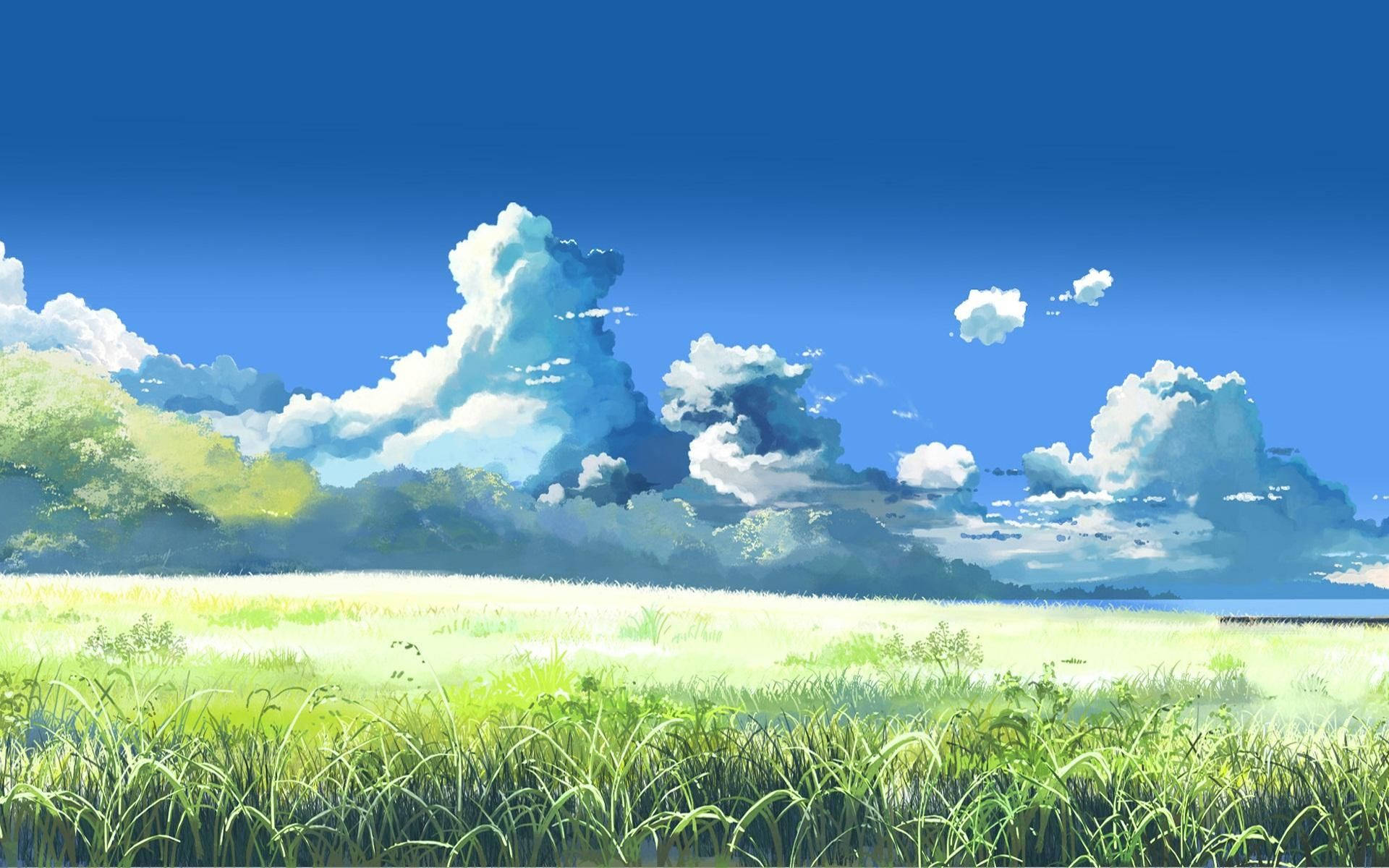 Grassland Anime Landscape Wallpaper