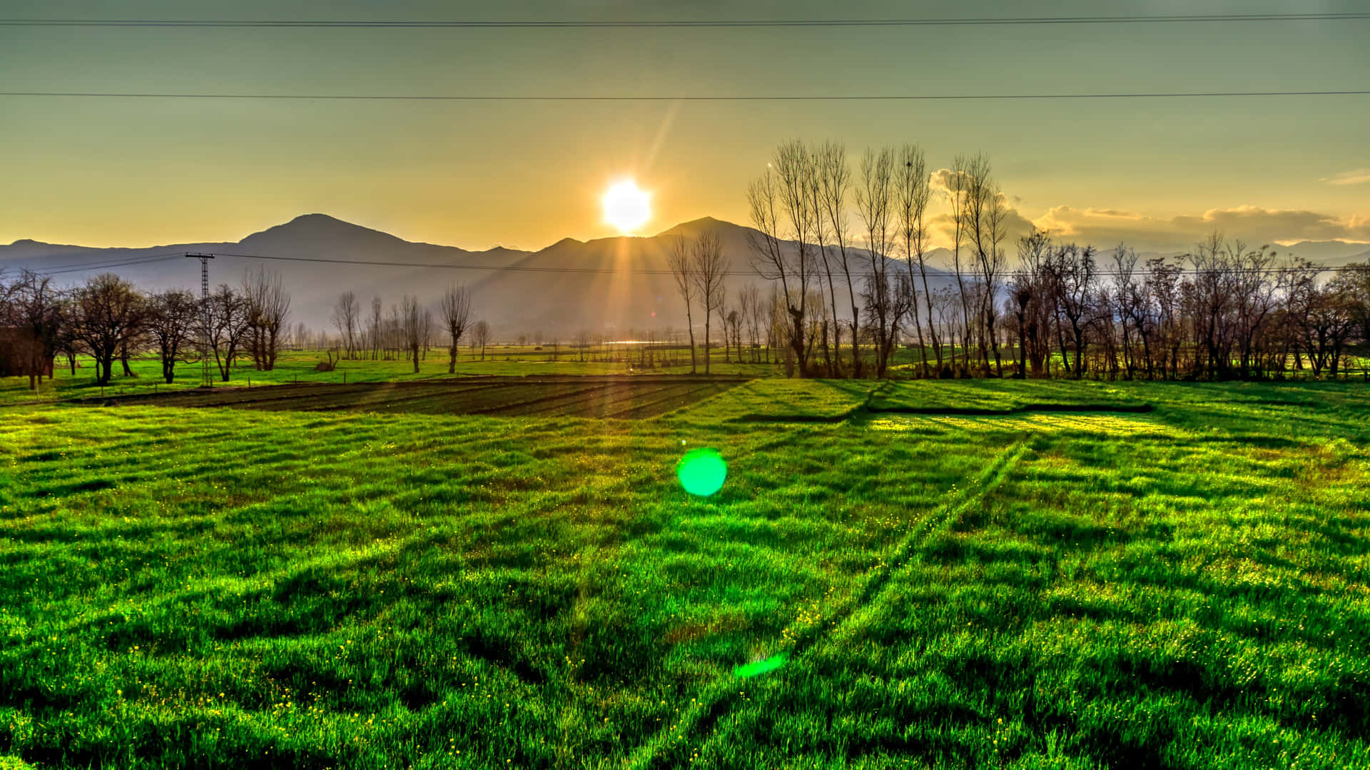 Grassland Morning Sunrise Wallpaper