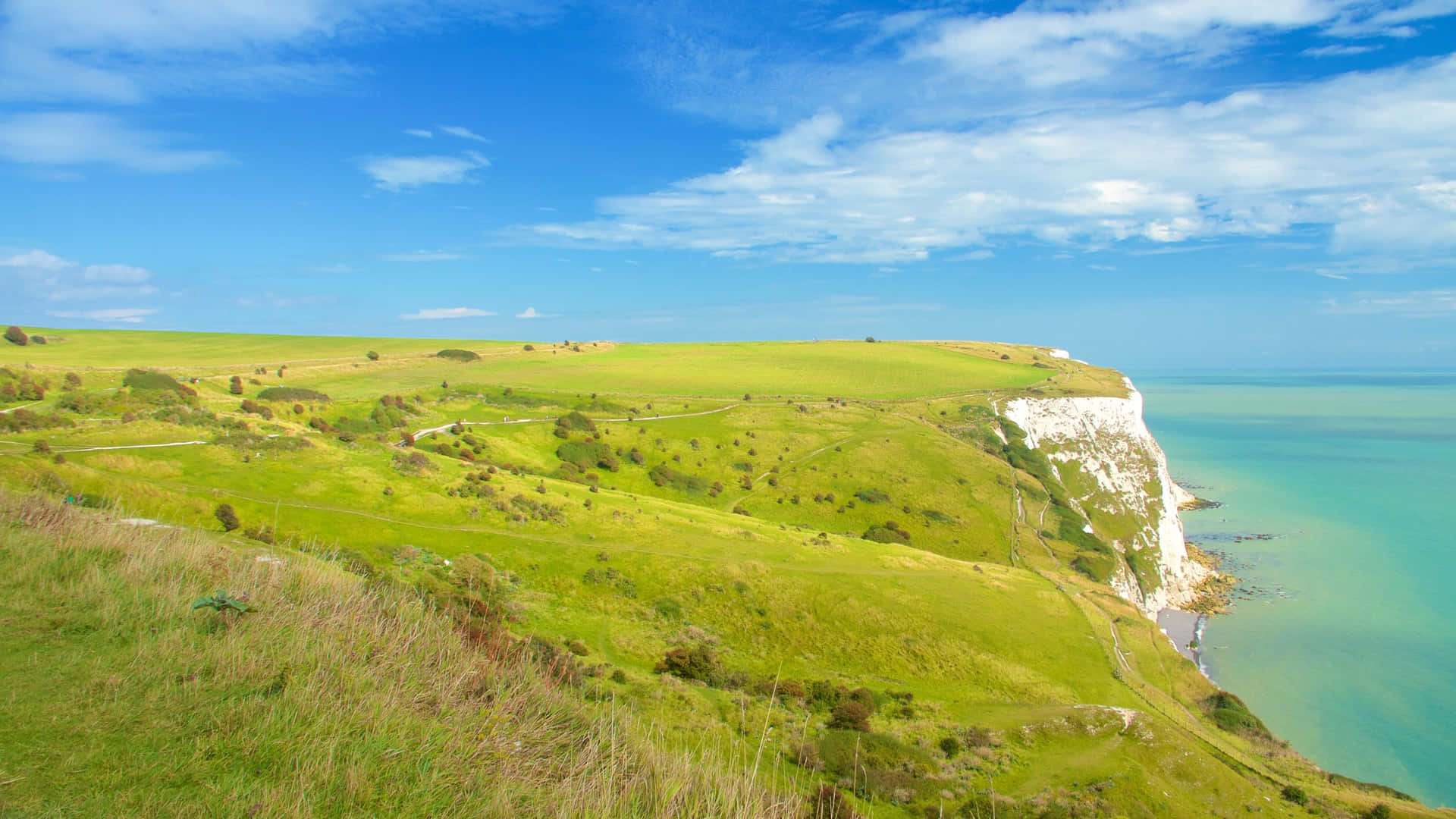 Download Grassland On White Cliffs Of Dover Wallpaper | Wallpapers.com
