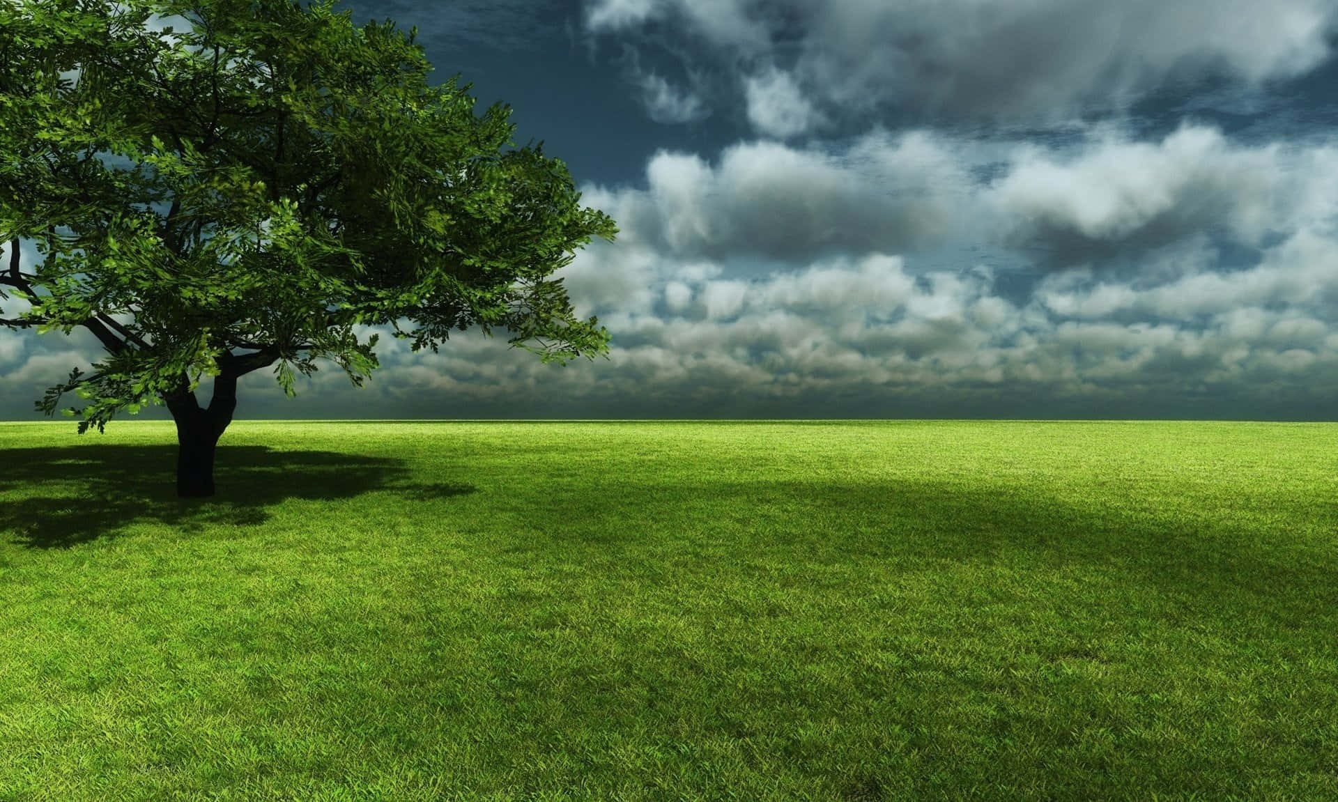 Enjoy this lush and green grassy background!