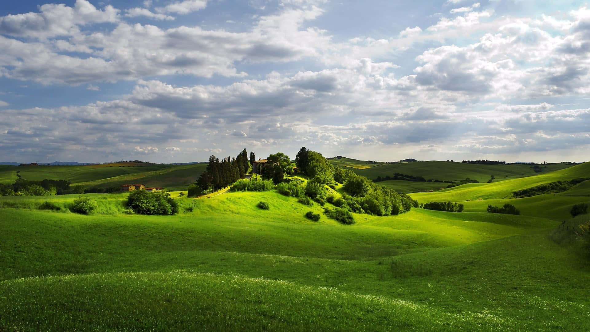 Rural Landscape with Grassy Fields