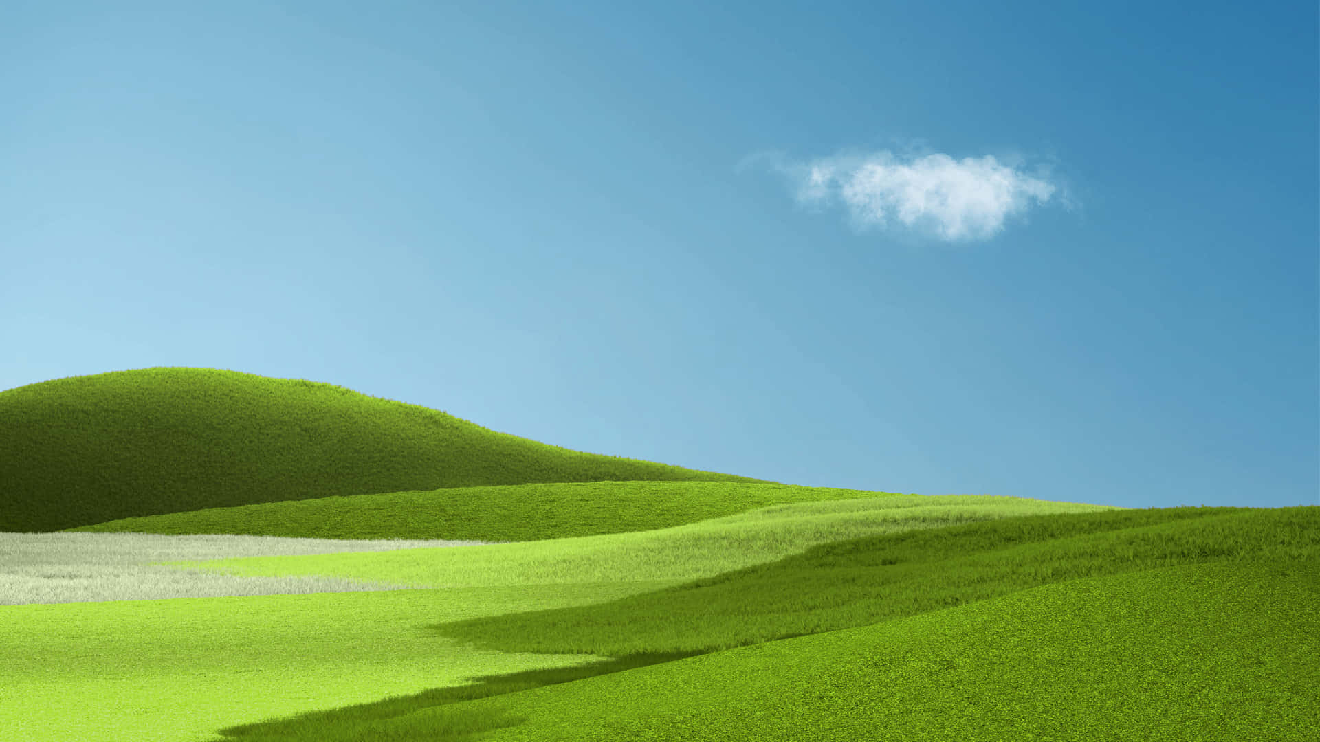 Enblandning Av Grönt Gräs Och Blå Himmel Skapar En Perfekt Bakgrundsbild.