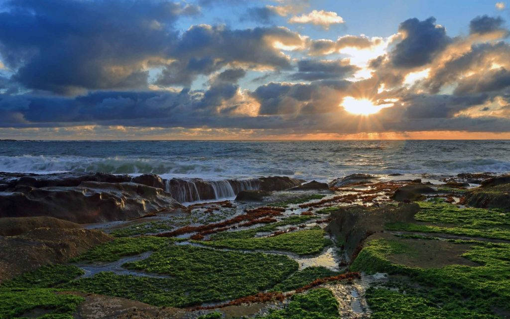 Grassy Coast Sunrise Nature Wallpaper
