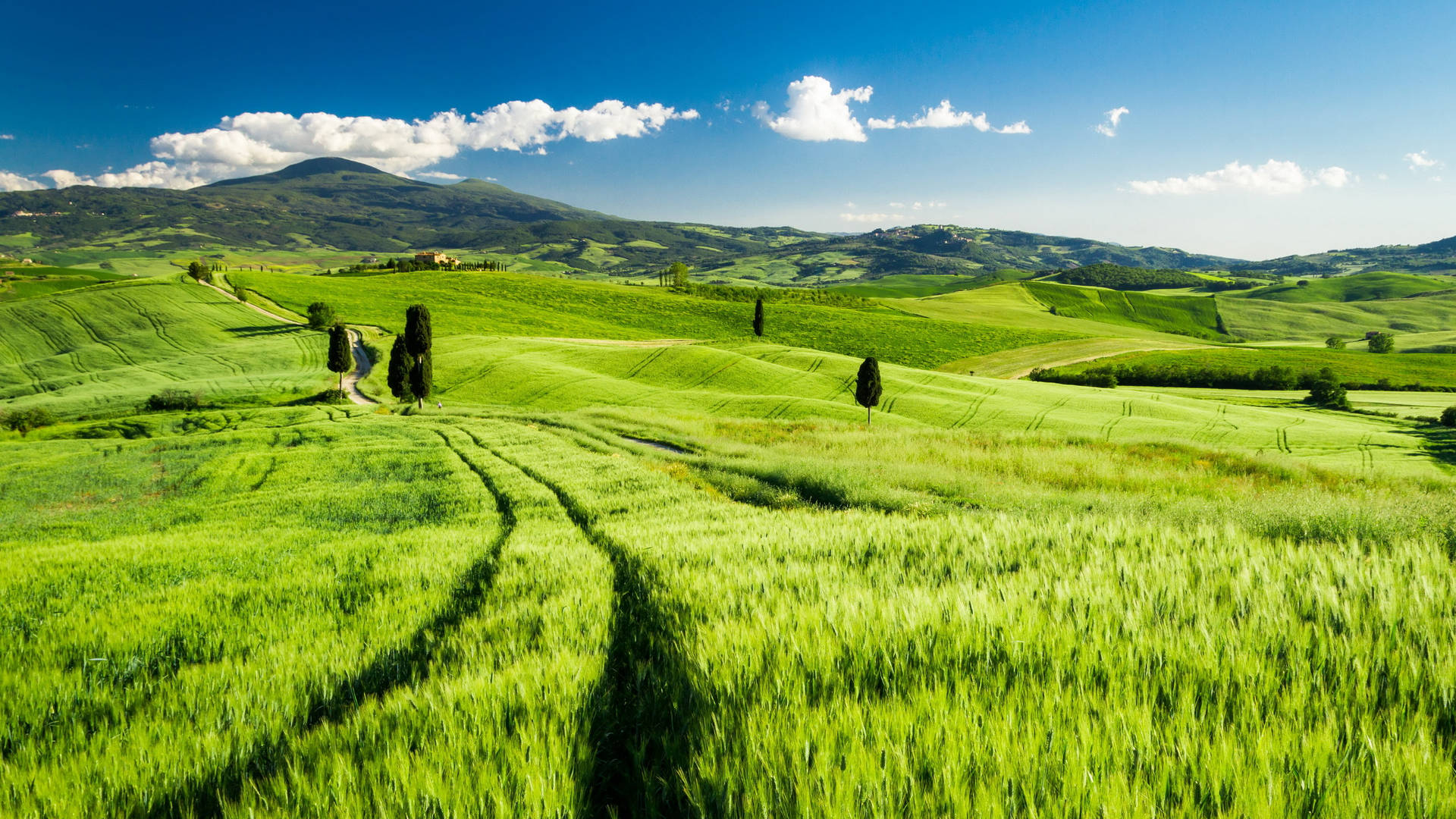 Grassy Landscape In Tuscany Italy Wallpaper