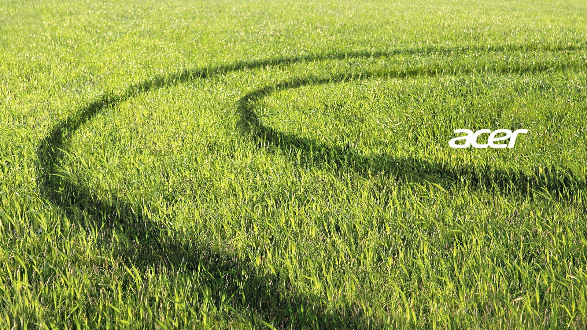 Grassy Plain Acer Logo Picture