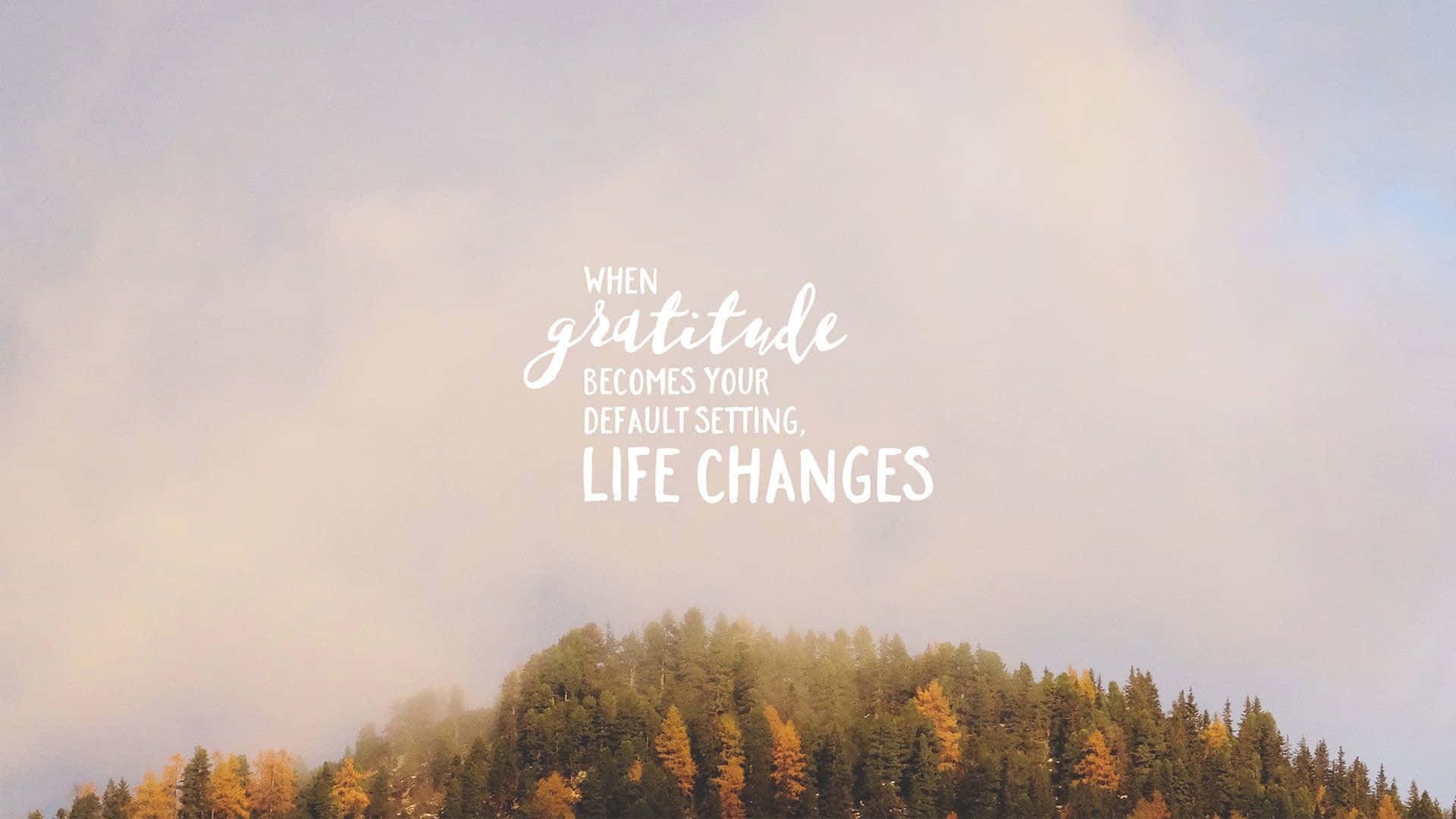 Gratitude Changes Life Wallpaper