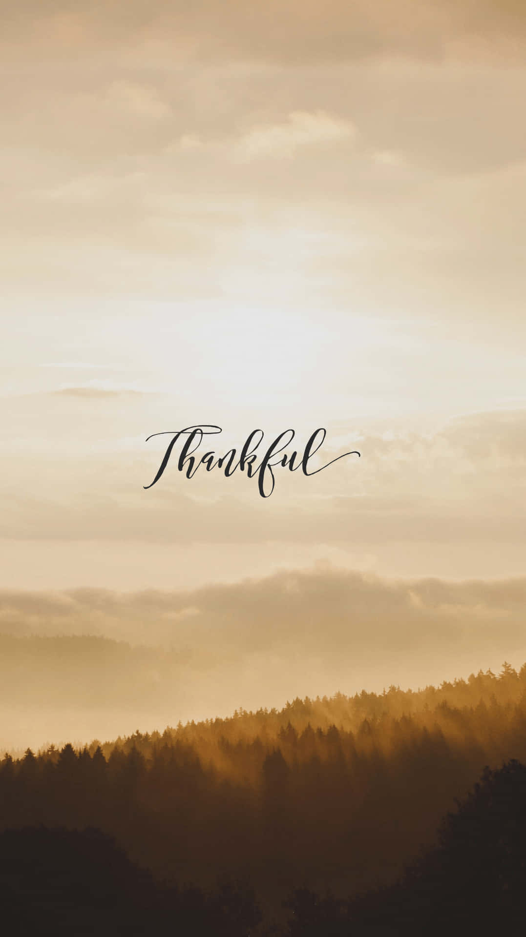 Download Gratitude Gold Sunset Wallpaper 