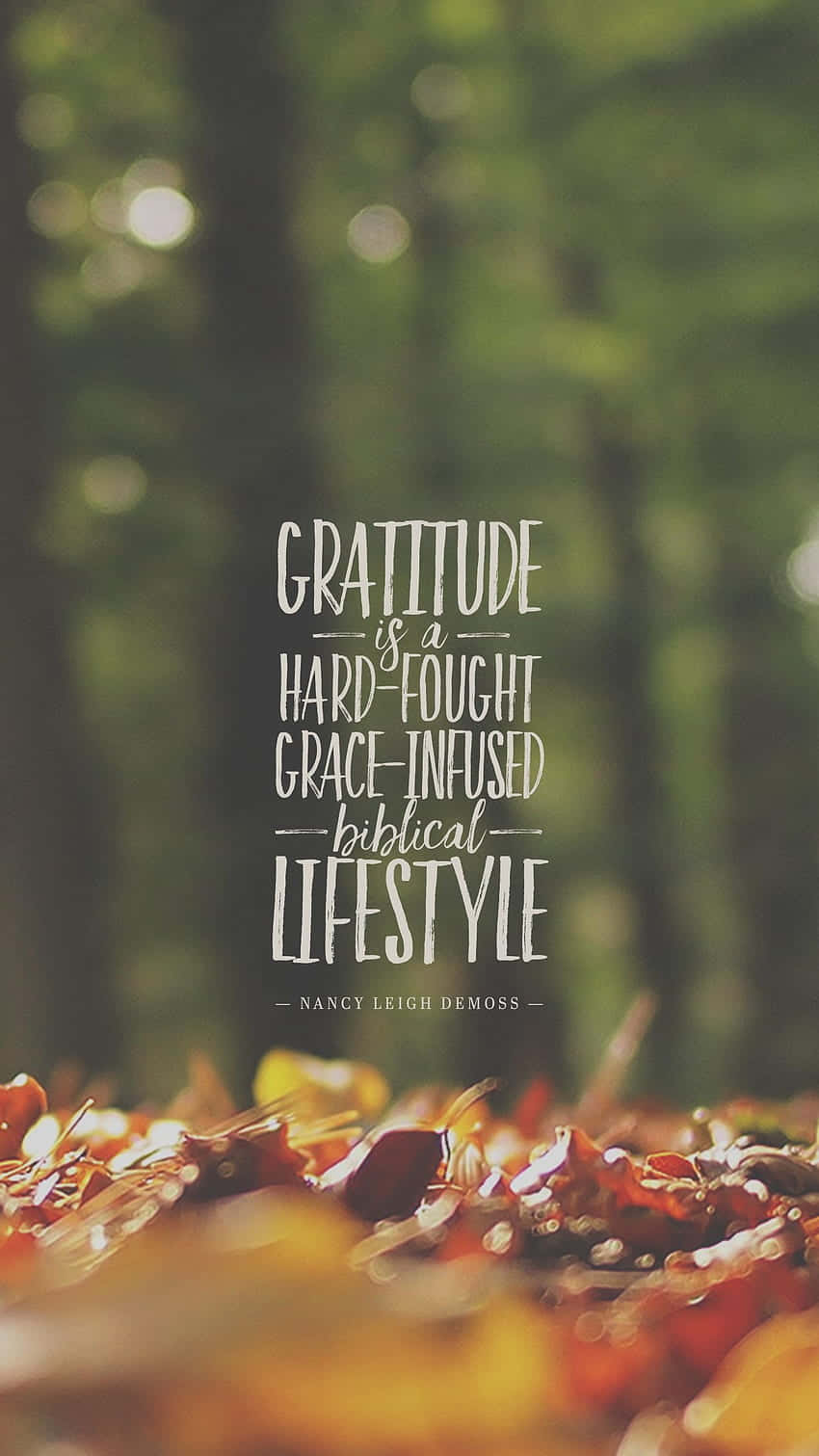 Gratitude Lifestyle Forest Wallpaper