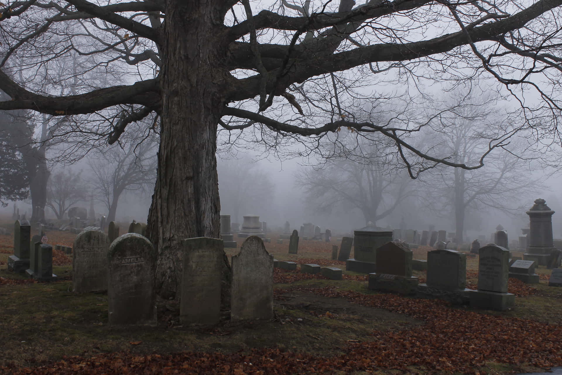 Eerie Gravestone in a Foggy Cemetery Wallpaper