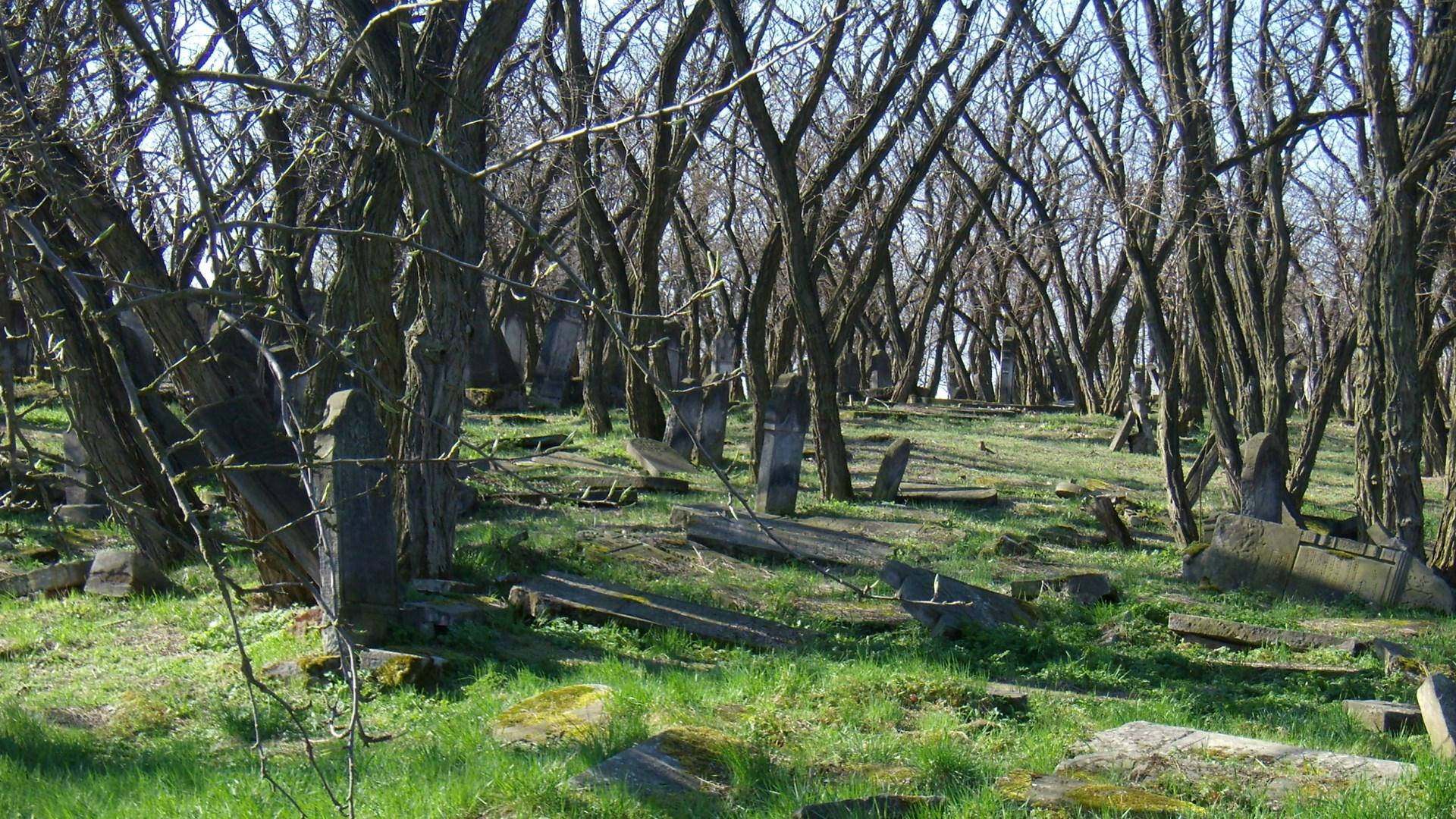 Graveyard Among Trees Wallpaper