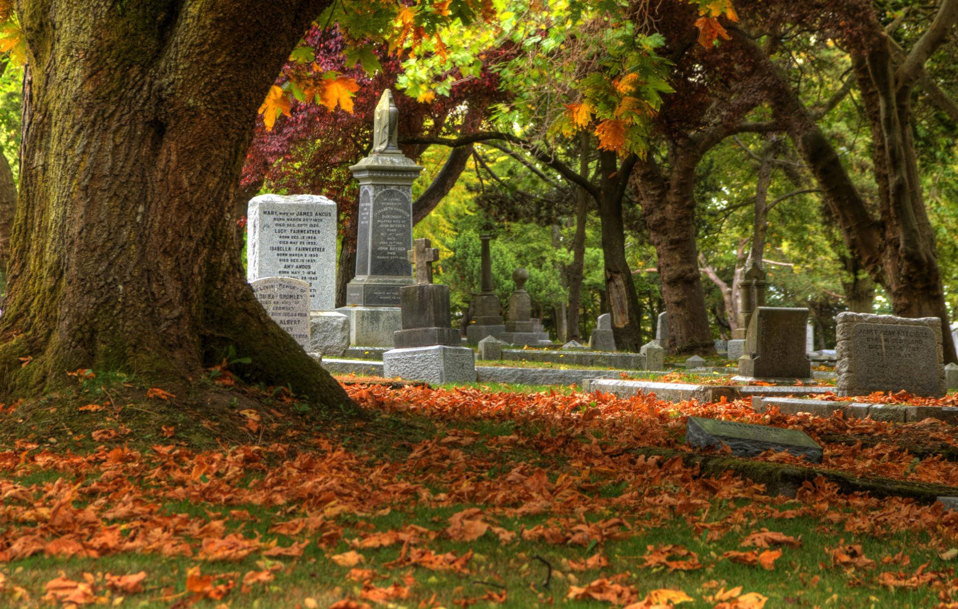 Graveyard And Autumn Leaves Wallpaper