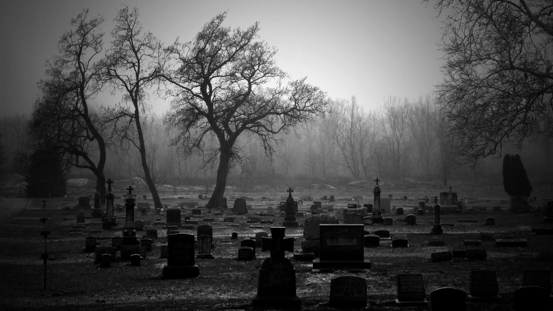Skumtkyrkogård På Natten