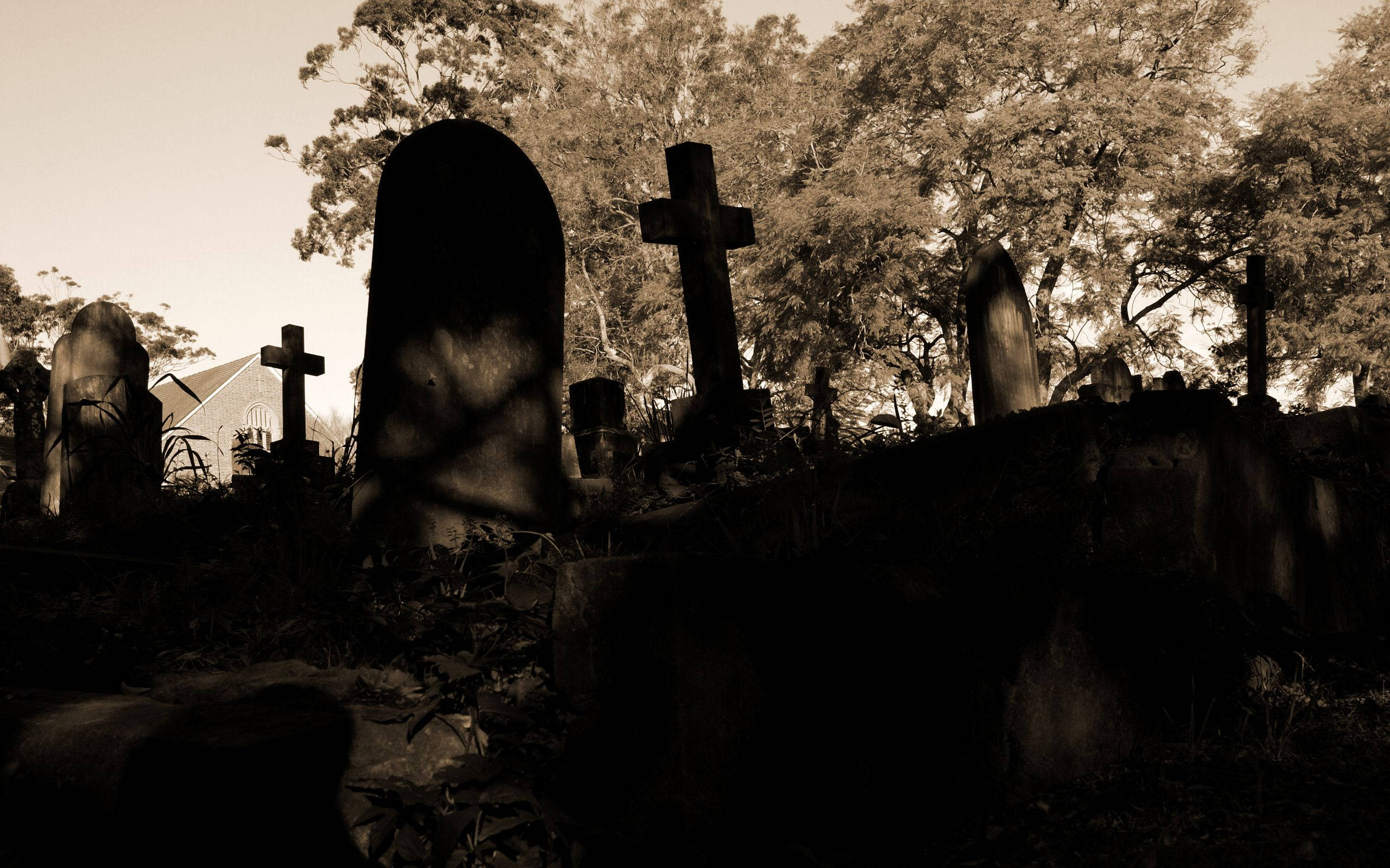 Могильная коса. Мрачное кладбище. Кладбище мрак. Красивое кладбище ночью. Старое кладбище ночью.