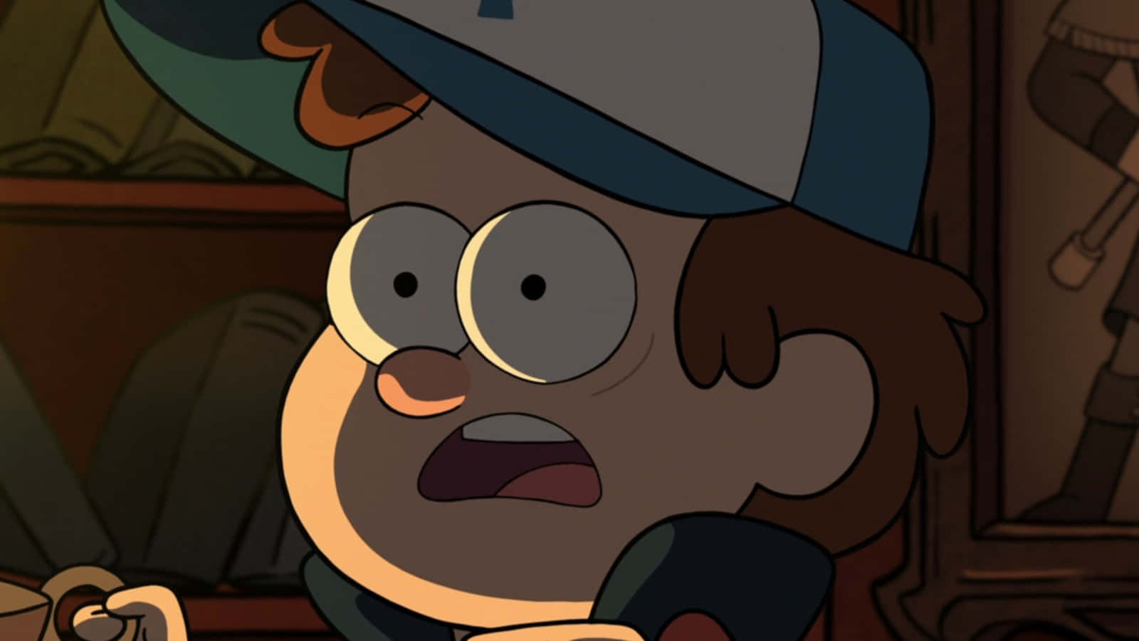 Follow Dipper and Mabel on their adventures in Gravity Falls