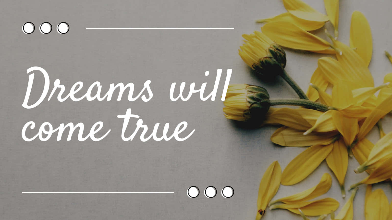 Gray And Yellow Quote Sunflowers Wallpaper