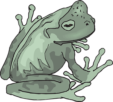 Gray Camouflaged Frog Illustration PNG