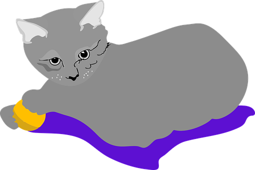 Gray Cat Playingwith Ball Illustration PNG