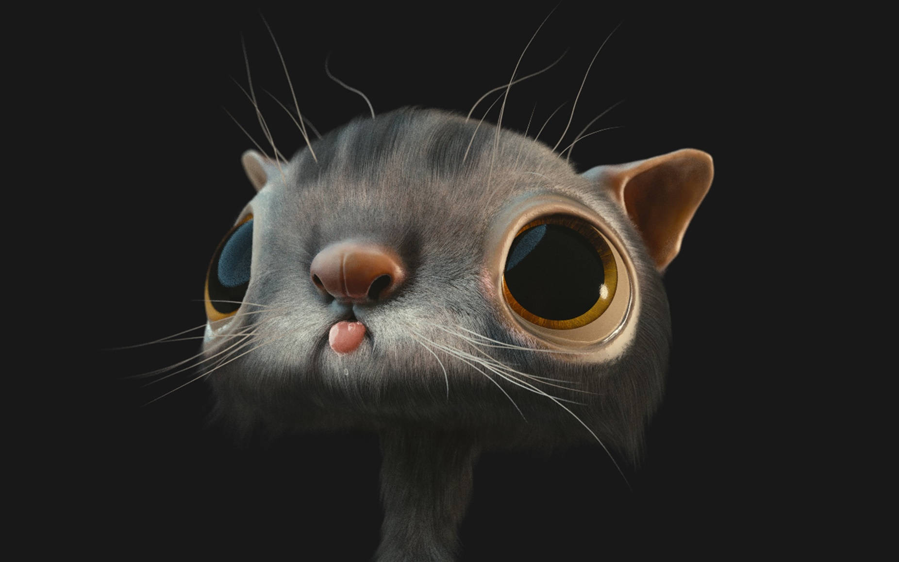 Gray Cat With Big Eyes 3d Animation Picture