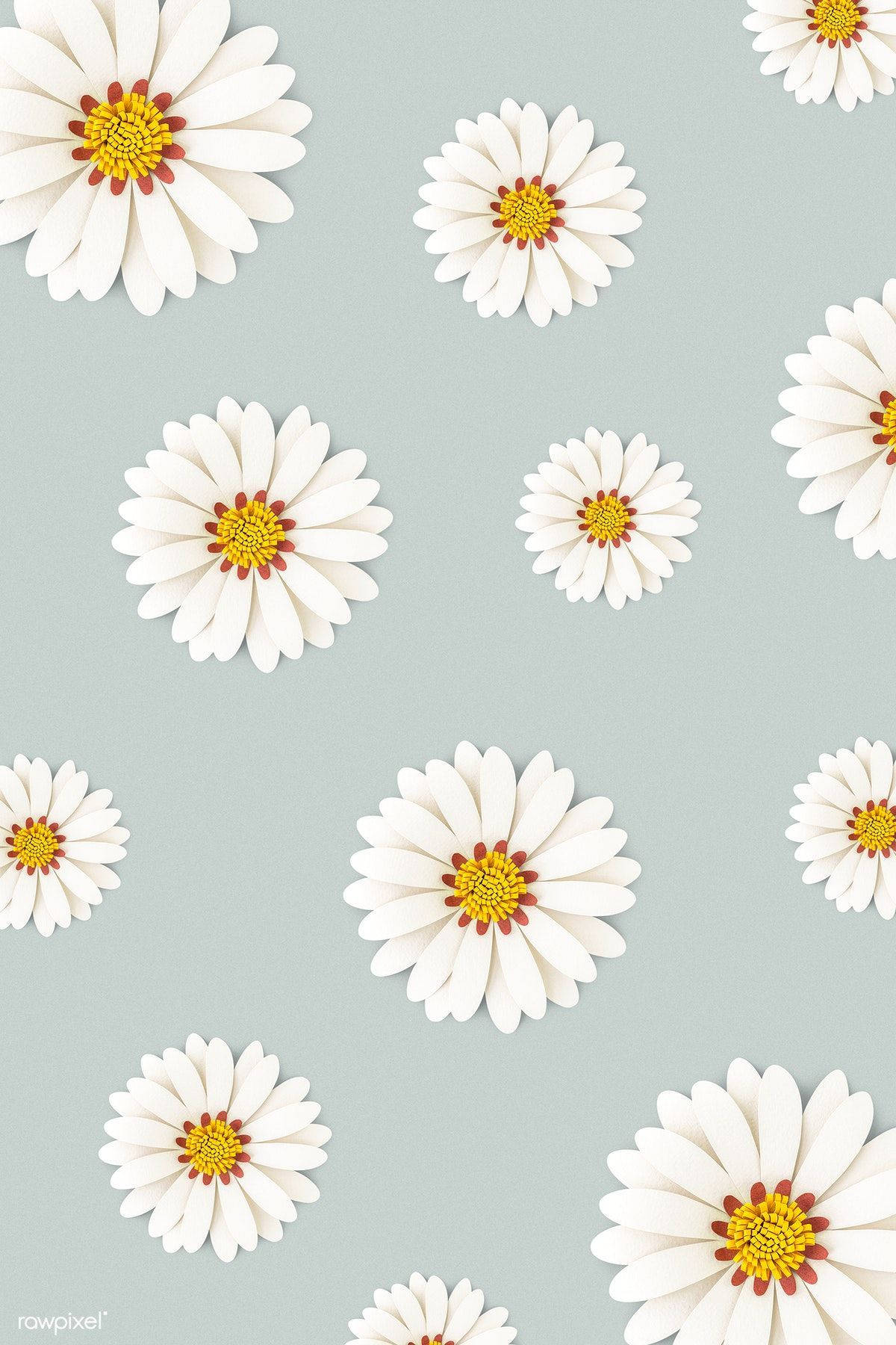 Elegant Gray Daisy Wallpaper for Smartphone Wallpaper