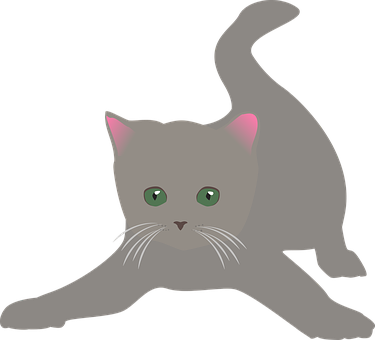 Gray Kitten Stretching Illustration PNG