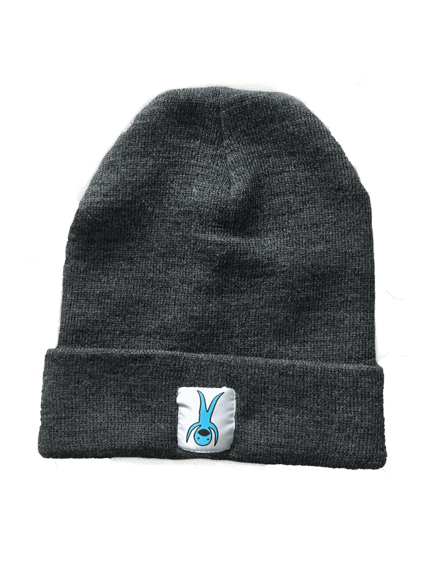 Gray Knit Beaniewith Logo Patch PNG