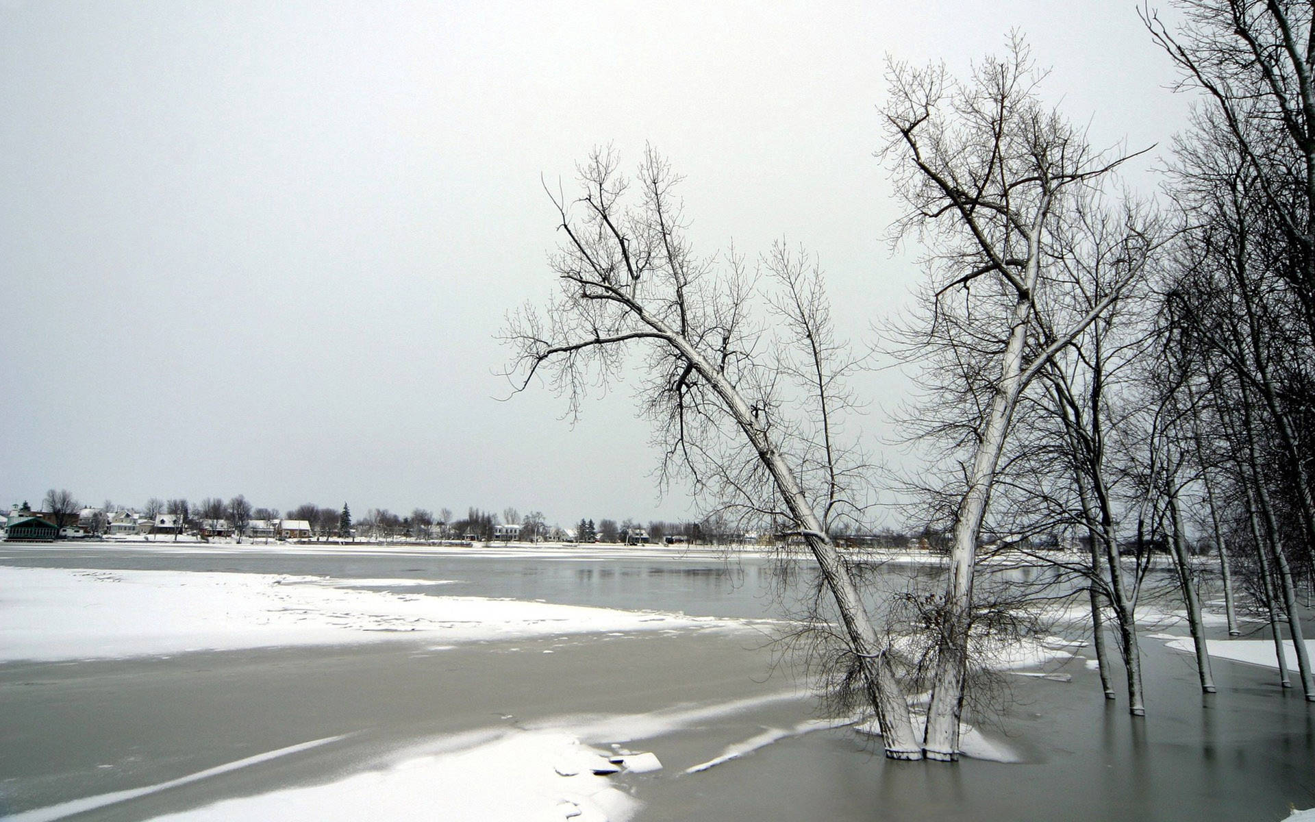Gray November Frozen Lake