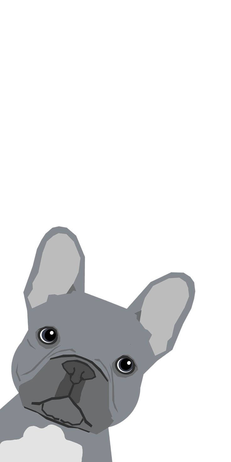 Gray Pug Cartoon Dog Background