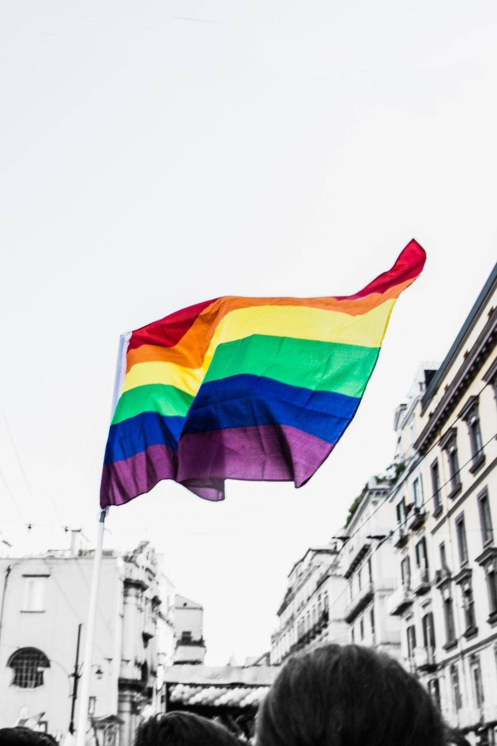 Schwarzweißes Foto Der Queer-flagge Wallpaper